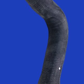 Manguera Radiador Superior Nissan March Versa 1.6 2012-2023 Original 21501-3HC3A